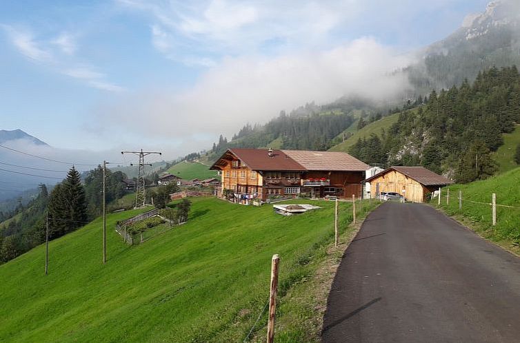 Appartement Bauernhaus Uf dr Flue