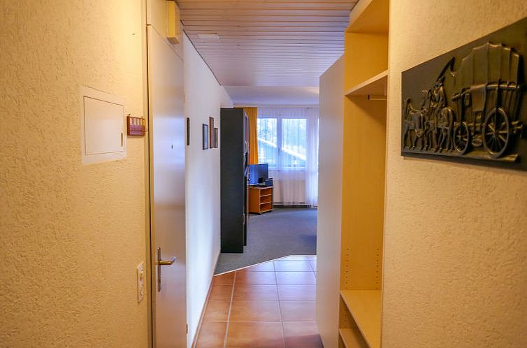 Appartement Chalet Wyssefluh