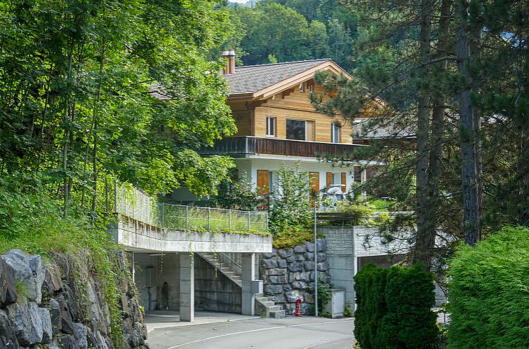 Appartement Chalet Holzwurm