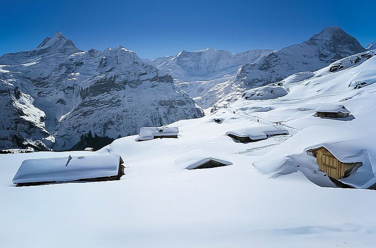 Appartement Chalet Holzwurm