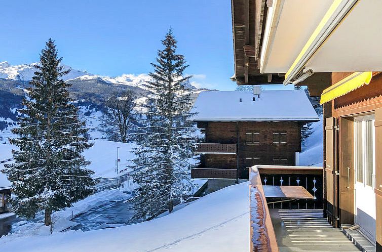 Appartement Chalet Bodmisunne