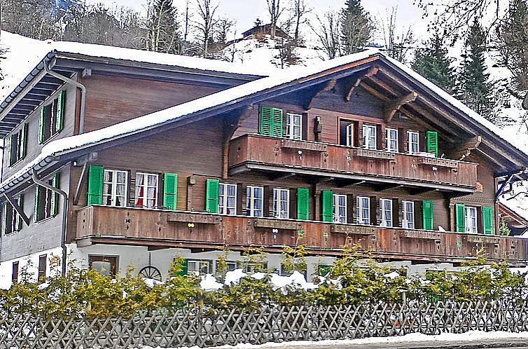 Appartement Chalet Schwendihus