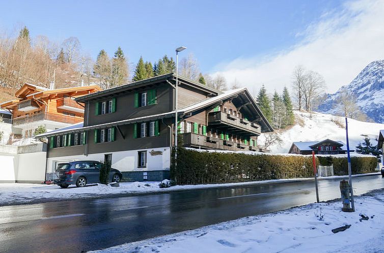 Appartement Chalet Schwendihus