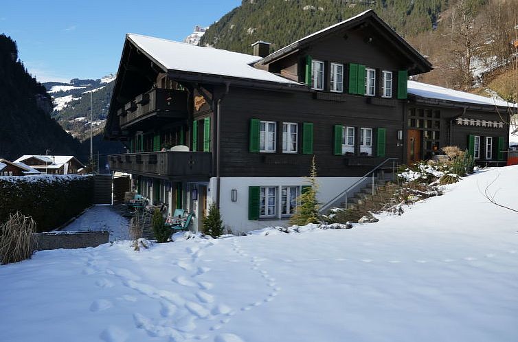 Appartement Chalet Schwendihus