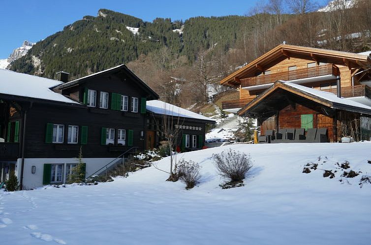 Appartement Chalet Schwendihus