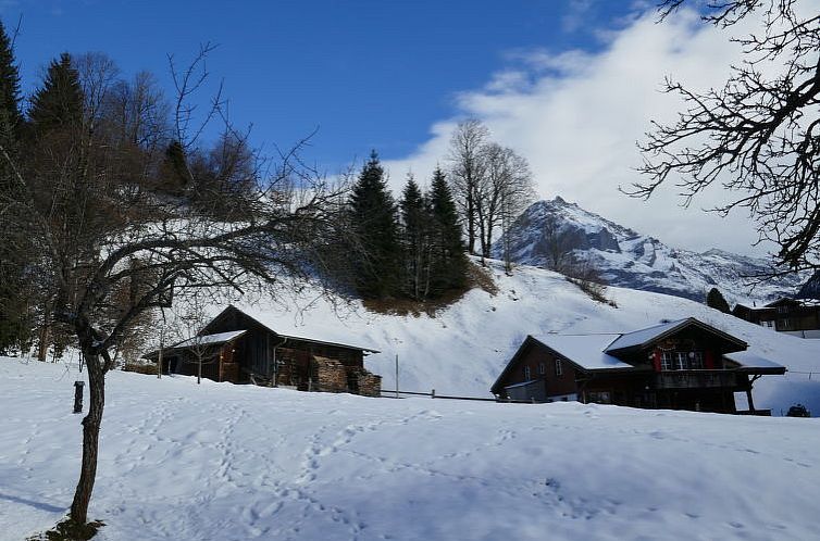 Appartement Chalet Schwendihus