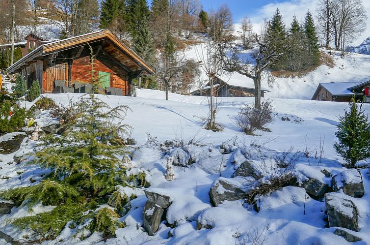 Appartement Chalet Schwendihus