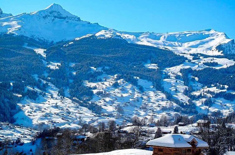 Appartement Chalet Schwendihus