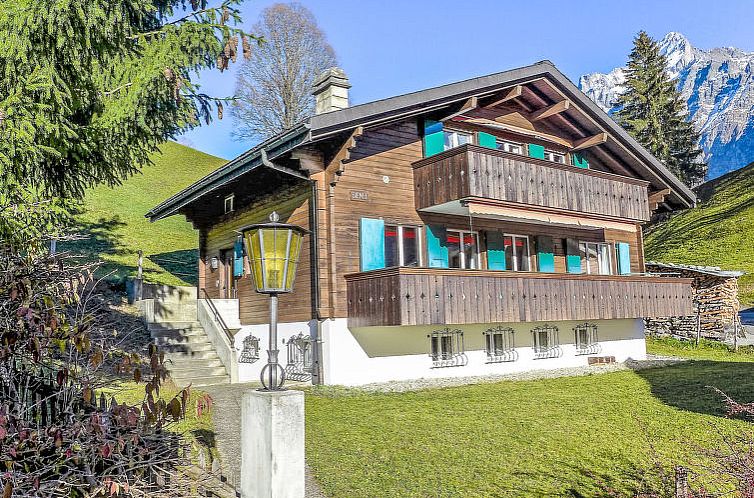 Appartement Chalet Bienli Oben