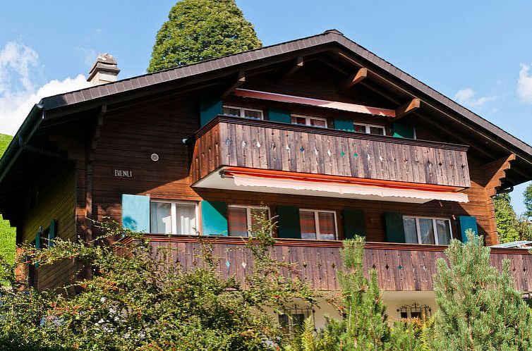 Appartement Chalet Bienli Oben