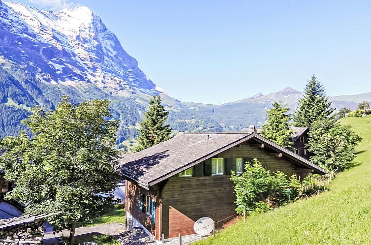 Appartement Chalet Bienli Oben