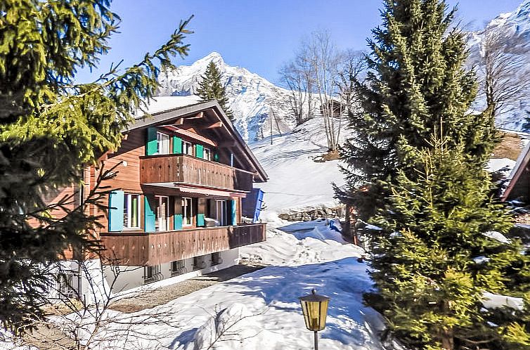 Appartement Chalet Bienli Oben