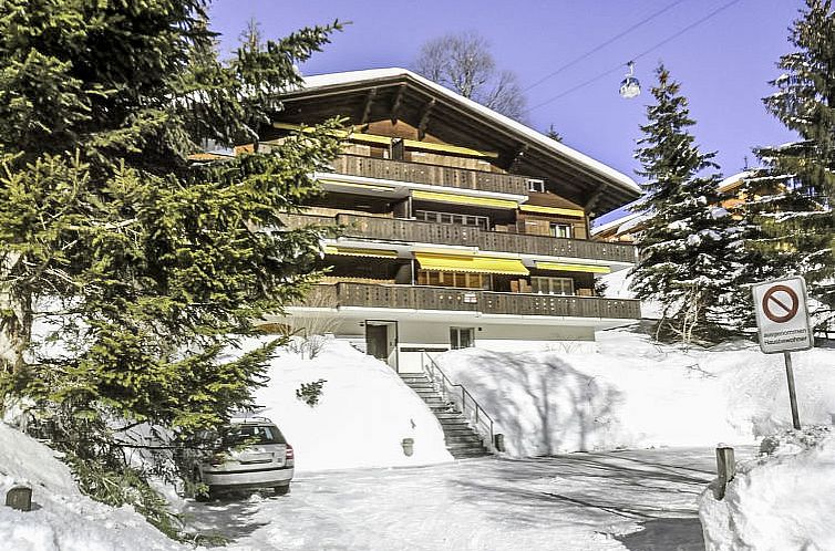 Appartement Chalet Bodmisunne