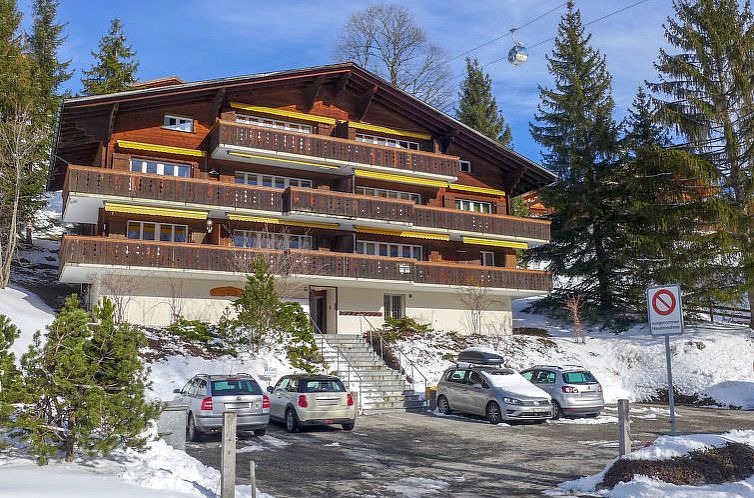 Appartement Chalet Bodmisunne