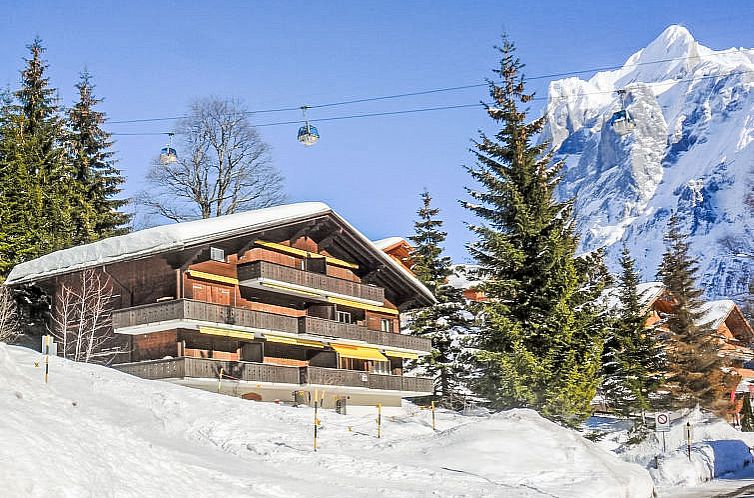 Appartement Chalet Bodmisunne