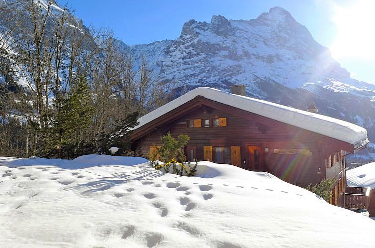 Appartement Chalet Sunneblick