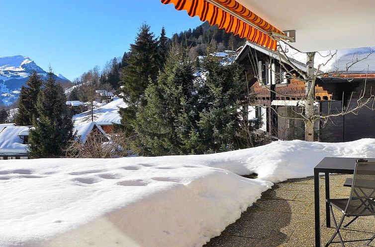 Appartement Chalet Sunneblick