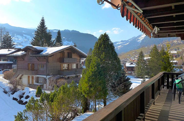 Appartement Chalet Spassvogel