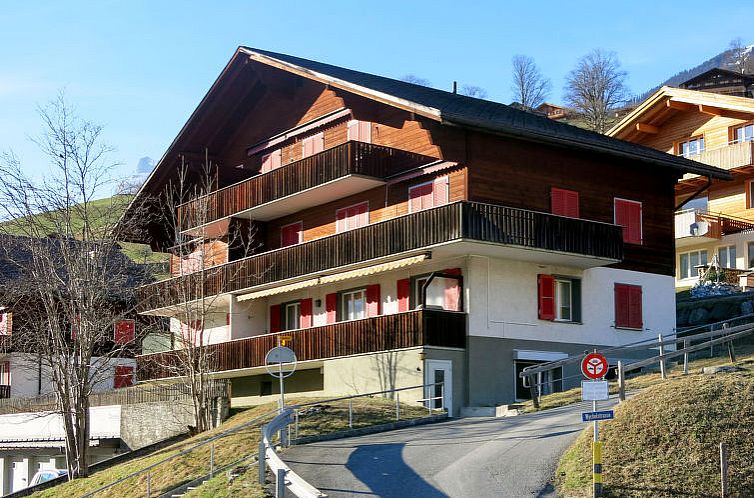 Appartement Chalet Desirée