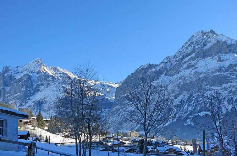 Appartement Chalet Desirée