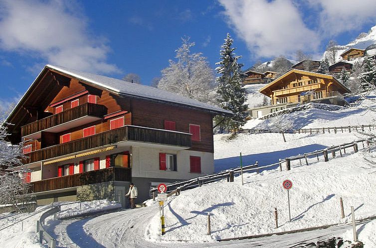 Appartement Chalet Desirée