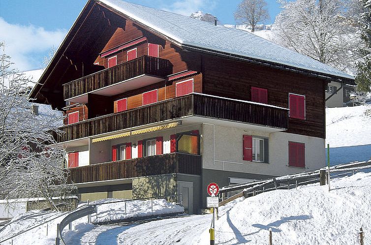 Appartement Chalet Desirée