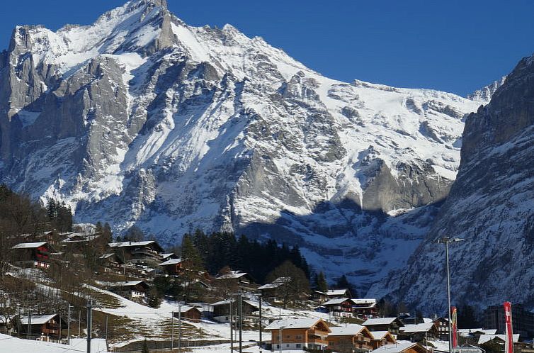 Appartement Chalet Desirée