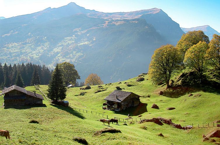 Appartement Chalet Desirée