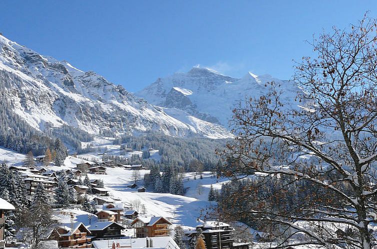 Appartement Silberhorn Apt. DW