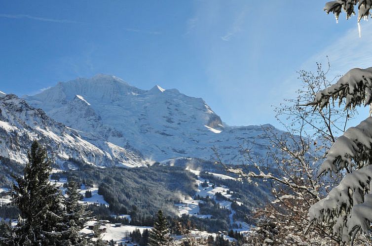 Appartement Silberhorn Apt. DW