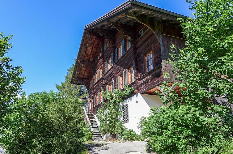 Appartement Chalet Ahorni