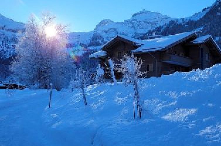 Appartement Chalet Lerchweid Lenk