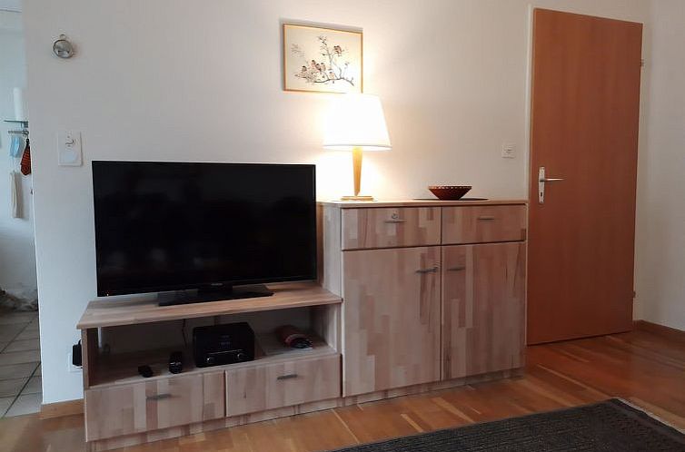 Appartement Mösli (Zimmerli)