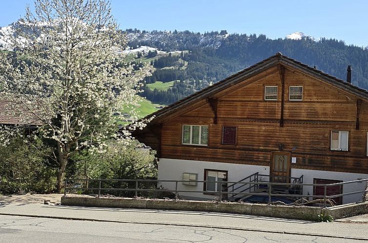 Appartement Am Ryschbächli