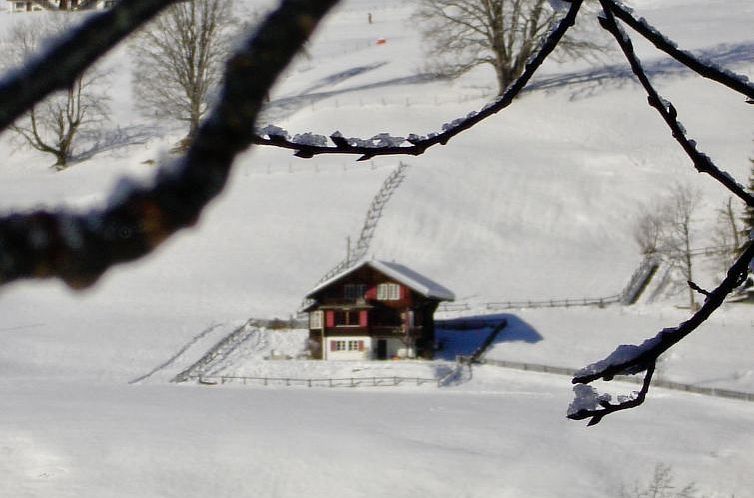 Appartement Sonnenfreude, Chalet