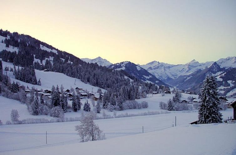 Appartement Sonnenfreude, Chalet