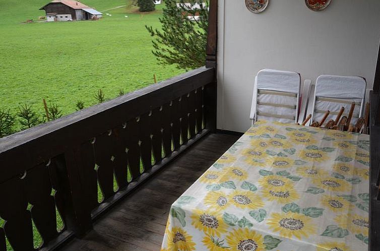 Appartement Oberland Nr. 7