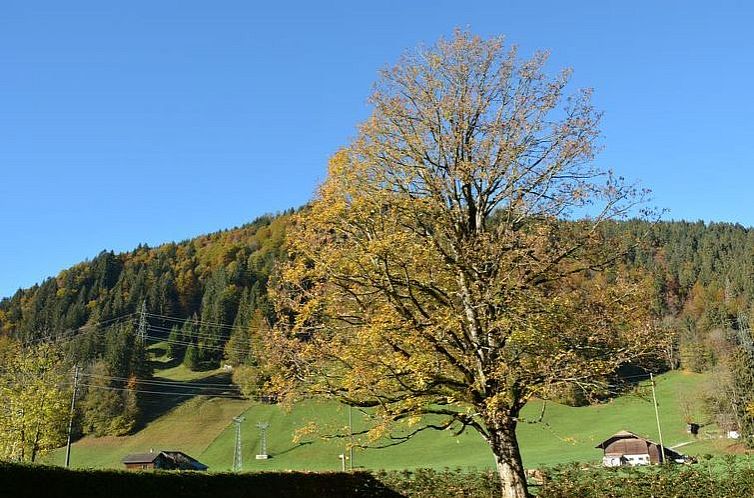 Appartement Oberland Nr. 7