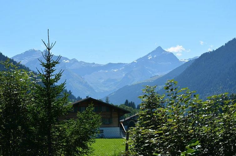 Appartement La Sarine 124