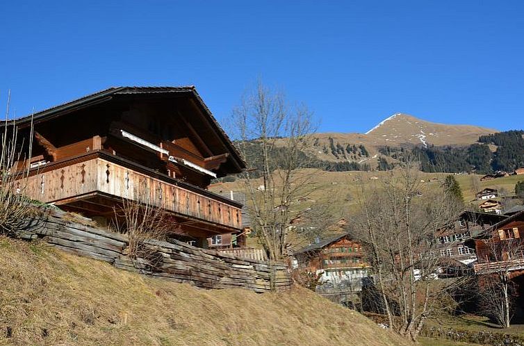 Appartement Marmotte, Chalet