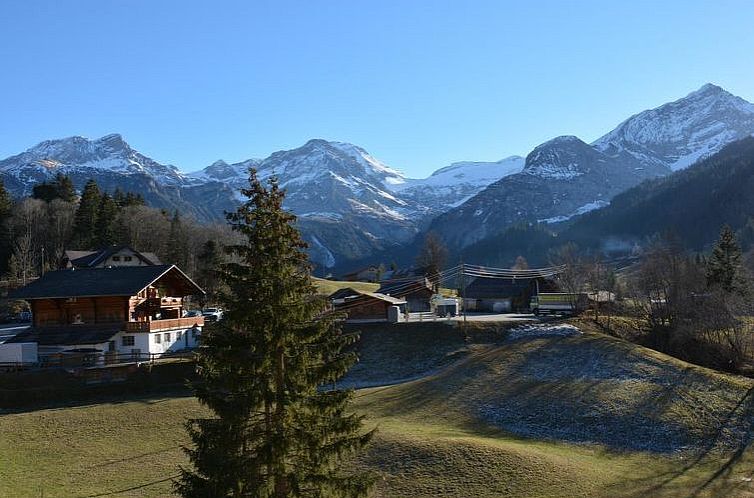 Appartement Marmotte, Chalet