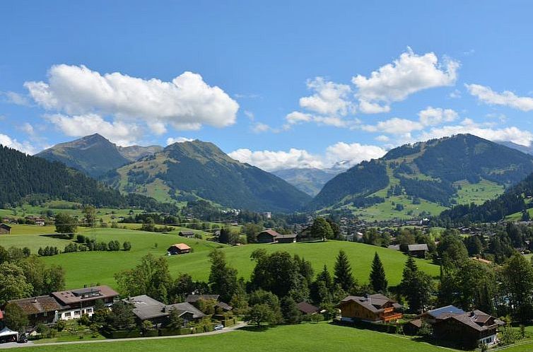 Appartement Meielblick