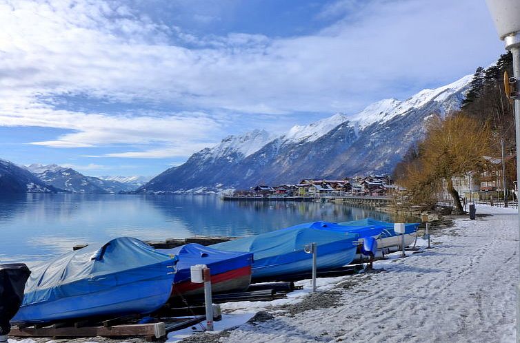 Appartement Am Brienzersee