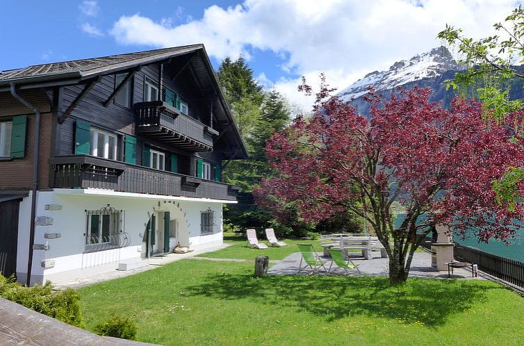 Vakantiehuis Chalet Aaregg