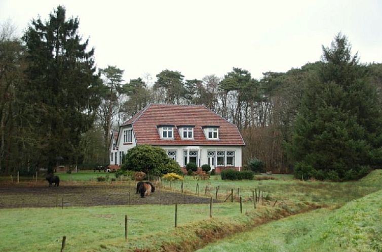 Vakantiehuis in Roden