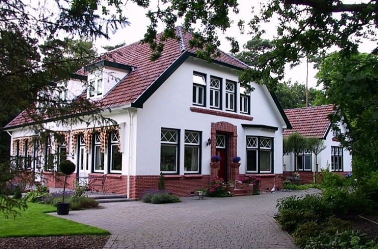 Vakantiehuis in Roden