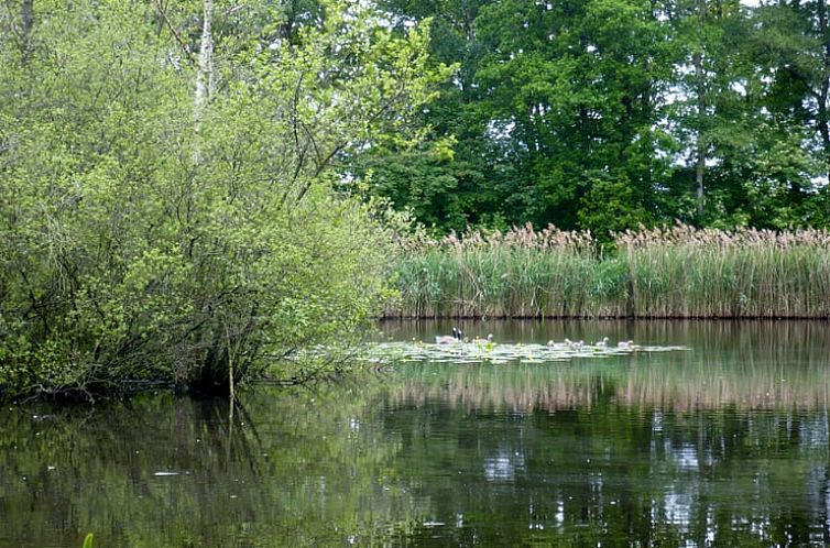 Vakantiehuis in Roden