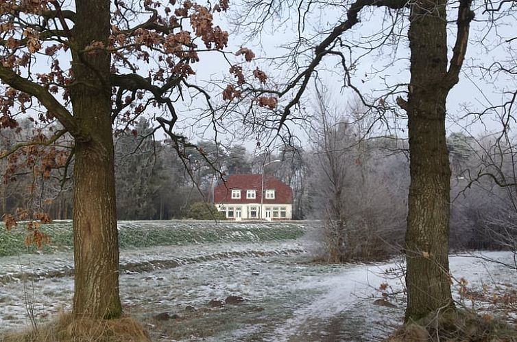 Huisje in Roden