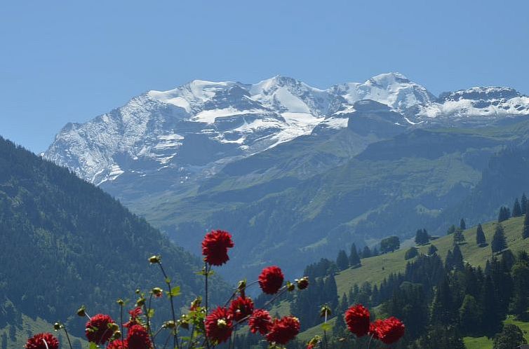 Appartement Chalet Zimmermann