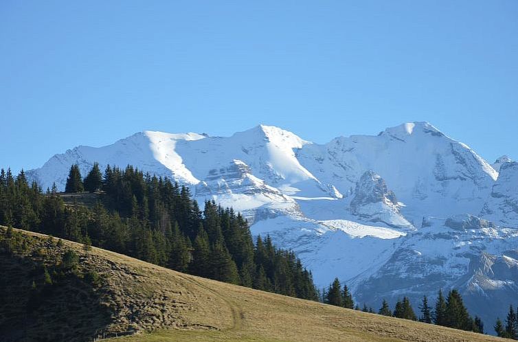 Appartement Chalet Zimmermann